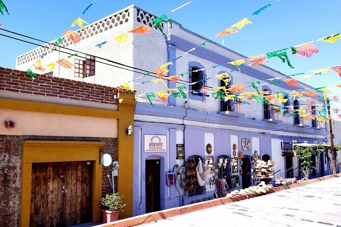Art and Culture in Todos Santos - Final Thoughts