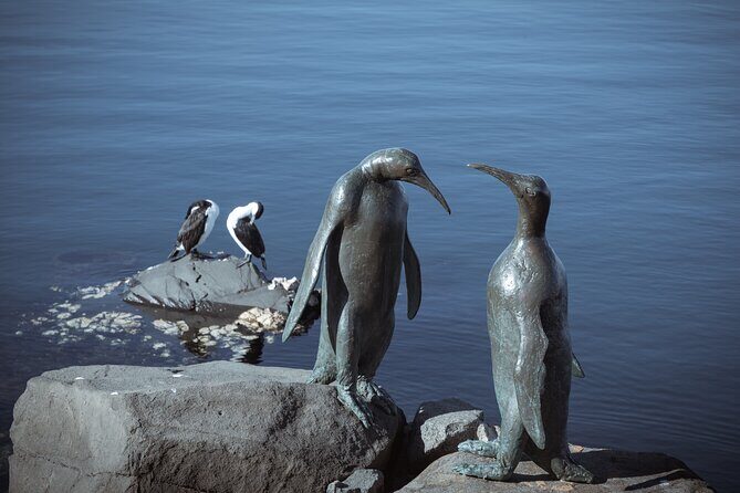 Art and History Trail Walking Tour in Tasmania - Final Thoughts