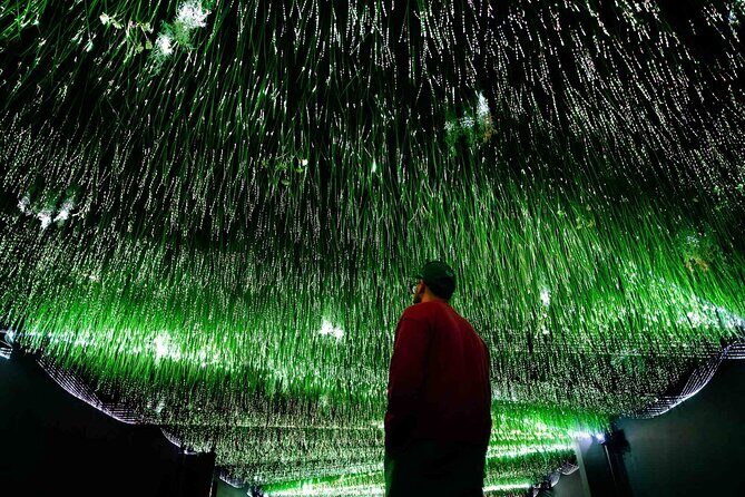 Art Club is an Immersive Museum of New Media Artworks at POST. - Key Points