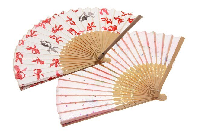 Art Japanese Fan Painting Experience in Tokyo Asakusa - Art Japanese Fan Painting Experience in Tokyo Asakusa: An Authentic Blend of Tradition and Creativity