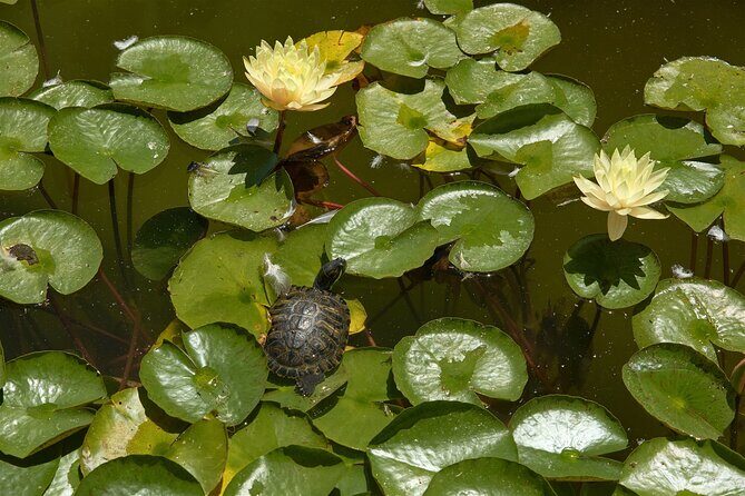 Art of Balboa Park Walking Tour - The Sum Up