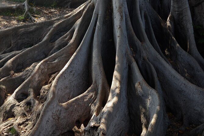 Art of Balboa Park Walking Tour - Frequently Asked Questions