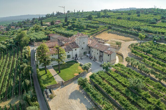 Art & Wine Experience in Valpolicella at Palazzo Montanari - Key Points