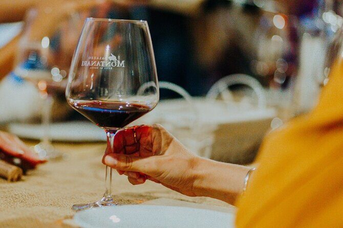 Art & Wine Experience in Valpolicella at Palazzo Montanari - Practical Details and What to Expect