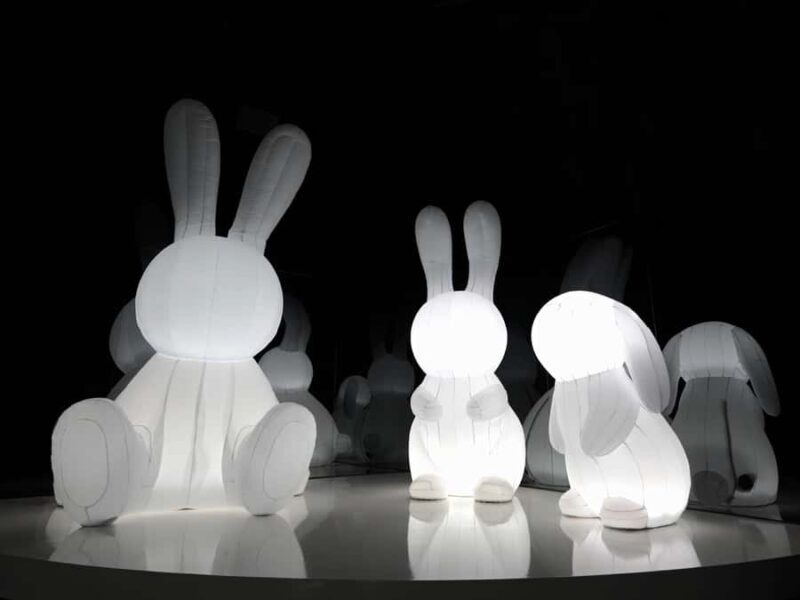 Arte Museum New York: An Immersive Media Art Exhibition - Authentic Visitor Perspectives