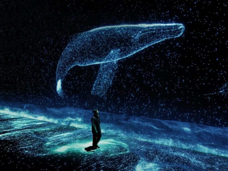 Arte Museum New York: An Immersive Media Art Exhibition - Final Thoughts: Who Will Love Arte Museum?