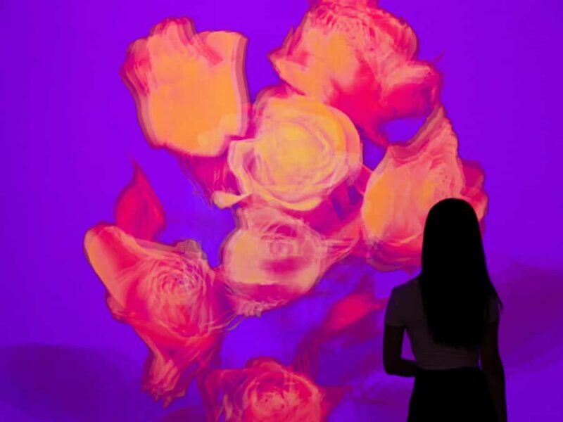 Arte Museum New York: An Immersive Media Art Exhibition - FAQs