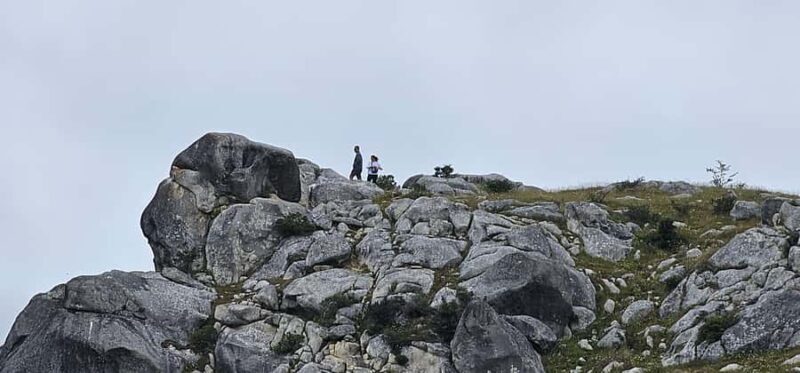 Arthurs Pass Alpine Explorer Day Tour from Christchurch - Key Points