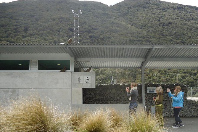 Arthurs Pass and Southern Alps Day Excursion from Port Lyttelton or Christchurch - Who Should Consider This Tour?