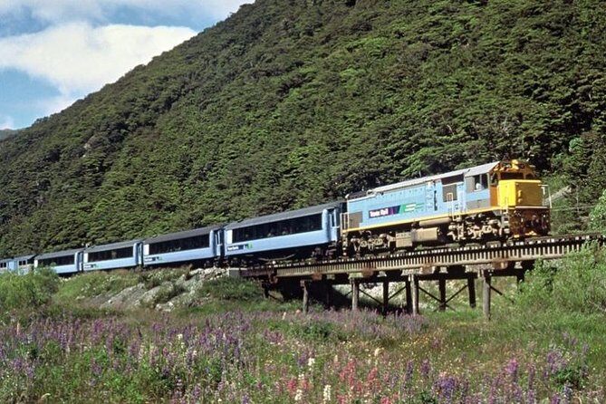 Arthur's Pass and TranzAlpine Train Day Tour from Christchurch - A detailed look at the experience