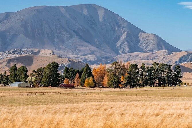 Arthurs Pass Private Day Trip from Christchurch with Castle Hill - FAQ: Practical Questions About the Tour