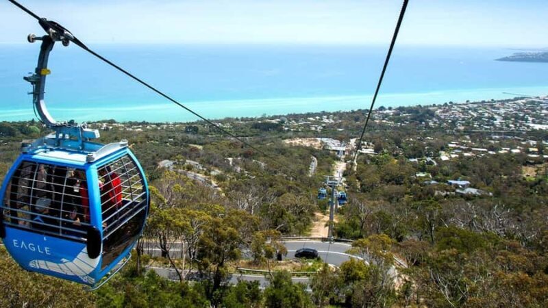 Arthurs Seat Eagle: Scenic Gondola Ride - Introduction