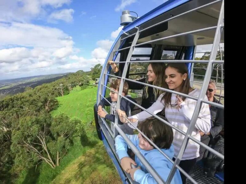 Arthurs Seat Eagle: Scenic Gondola Ride - The Summit and Beyond