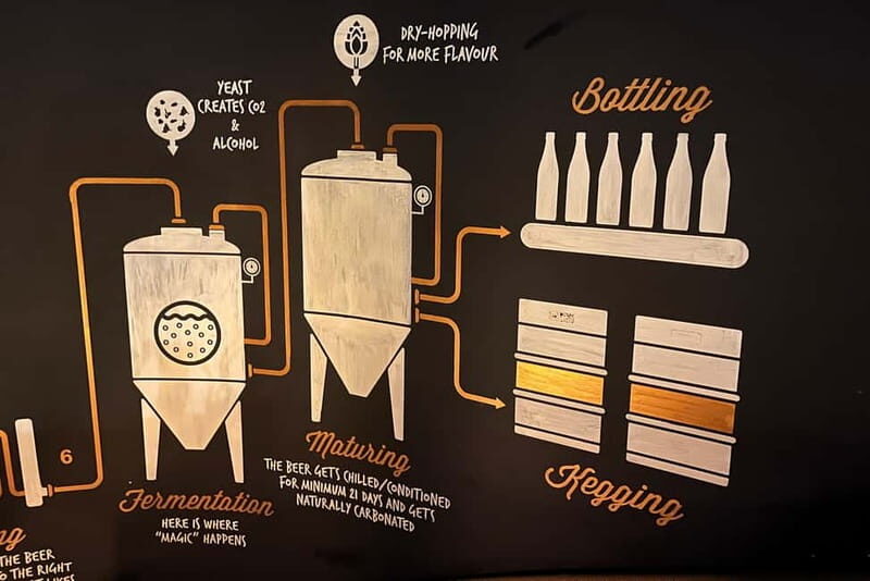 Artisanal Beer Tasting - In-Depth Review of the Artisanal Beer Tasting Tour