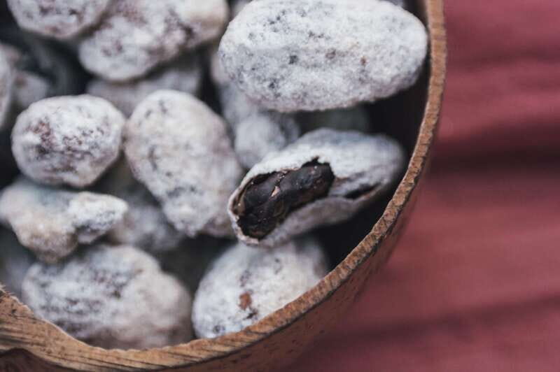 Artisanal Mexican Chocolate Tasting - Final Thoughts