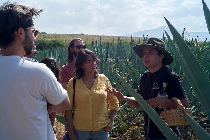 Artisanal Mezcal Culture Tour for Tasting and History - Key Points