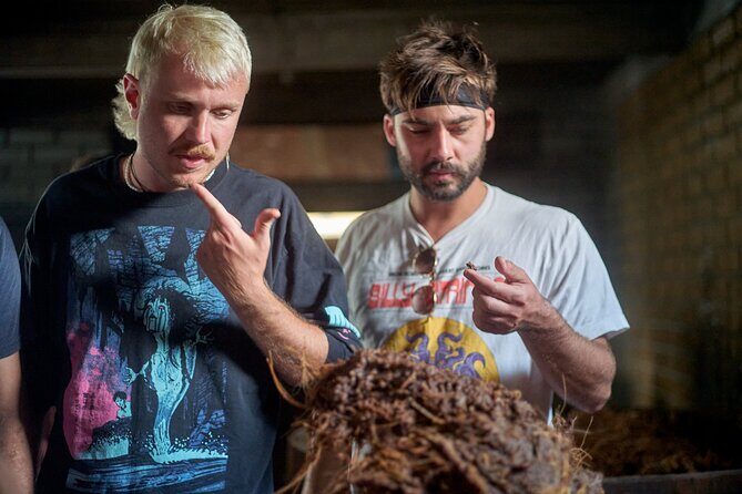 Artisanal Mezcal Culture Tour for Tasting and History - The Sum Up: Is It Worth It?