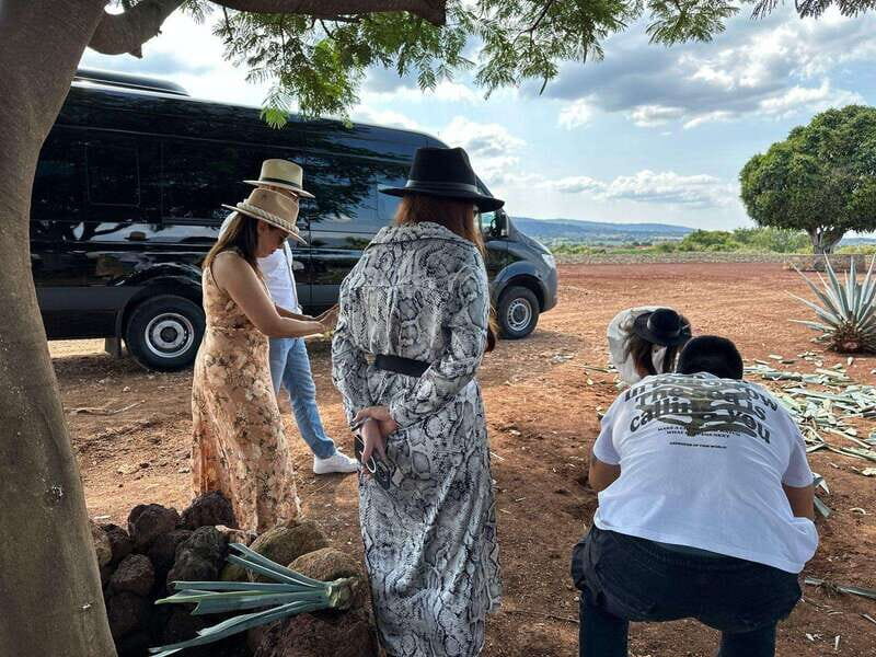 Artisanal Tequila Experience in Private Luxury SUV Local - Who Will Love This Tour?