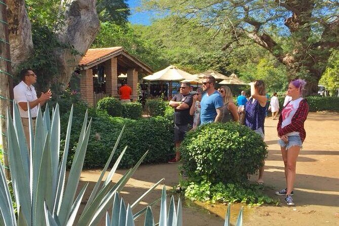 Artisans Town and Agave Distilled Factory - The Agave Experience