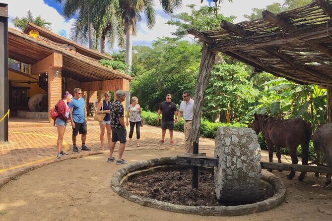 Artisans Town and Agave Distilled Factory - Practical Details and Considerations