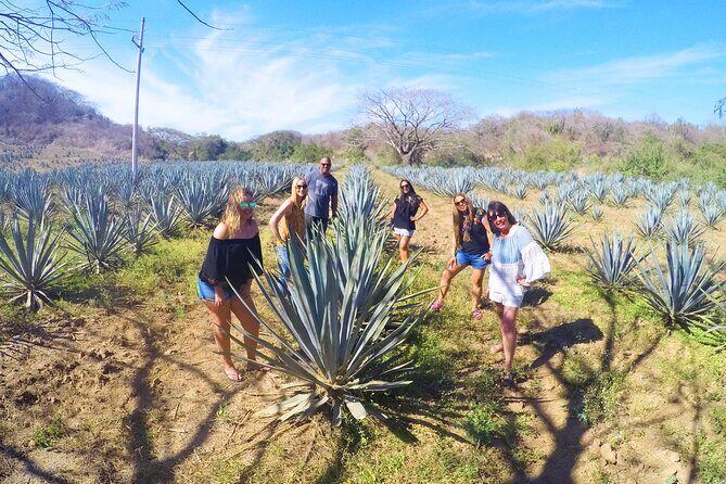 Artisans Town and Agave Distilled Factory - FAQs