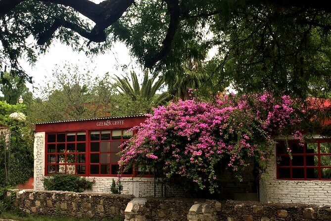 Arts and Snacks Walking Tour with Taste of San Miguel - Mercado de Artesanias: A Treasure Trove of Handmade Goods