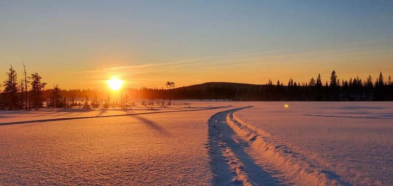 Arvidsjaur: 4h individual snowmobile tour in Swedish Lapland - The Practicalities: What to Know Before You Go