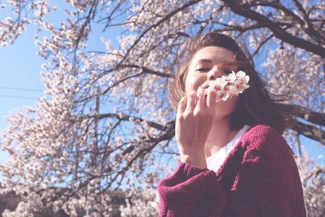 Asakusa: Cherry Blossom Viewing and History Tour - An In-Depth Look at the Tour Experience