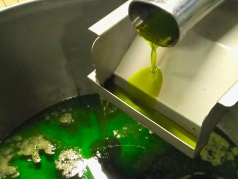 Ascoli Piceno: Olive Oil Tasting with local products - Who Will Enjoy This Tour?