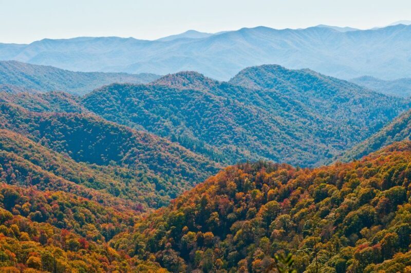 Asheville: Blue Ridge Mountains Tour for Children! - An Honest Look at the Asheville Blue Ridge Mountains Tour for Kids