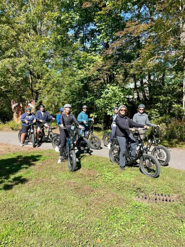 Asheville: Guided E-bike Tour - Key Points