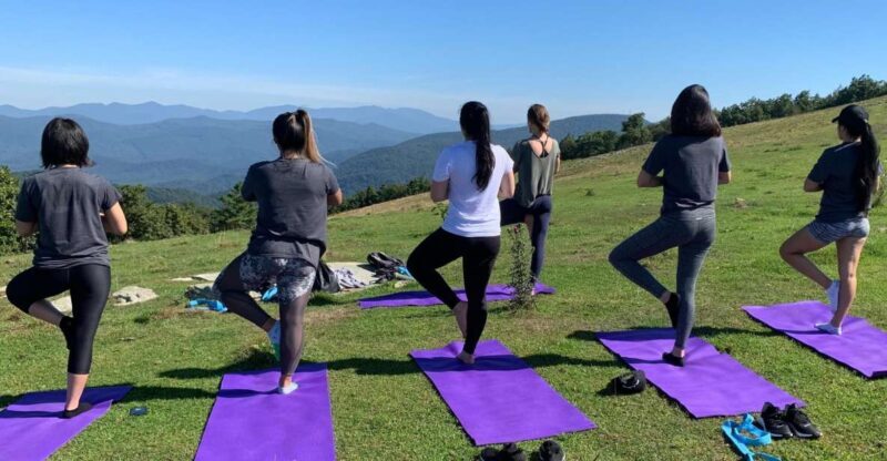 Asheville: Yoga on a Mountain Hike - Who Will Love This Experience?