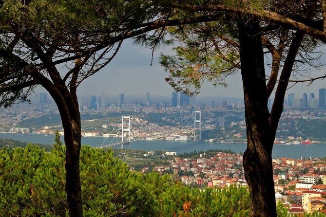 Asian Side of Istanbul Tour - Half-Day Small Group Tour - Who Will Love This Tour?