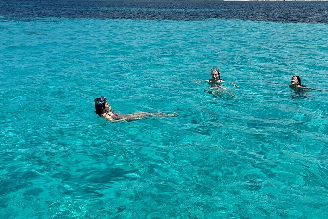 Asinara: Sailing trip in the park of Asinara - A Full Breakdown of the Asinara Sailing Trip