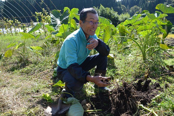 Aso Cycling and Farming Private Tour - Who Would Love This Tour?