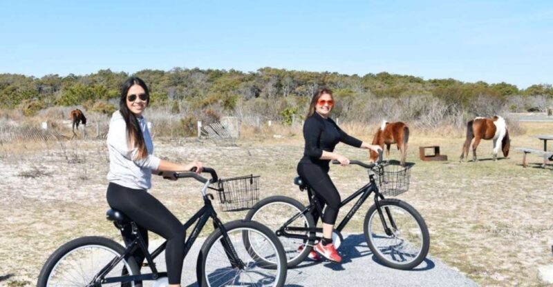 Assateague Island: Bike Rental from the Bayside Stand - Who Should Consider This Tour?