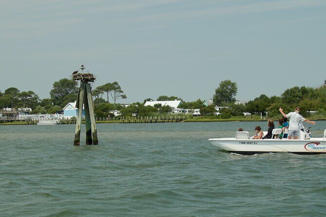 Assateague Island Private Cruise Tour - Key Points