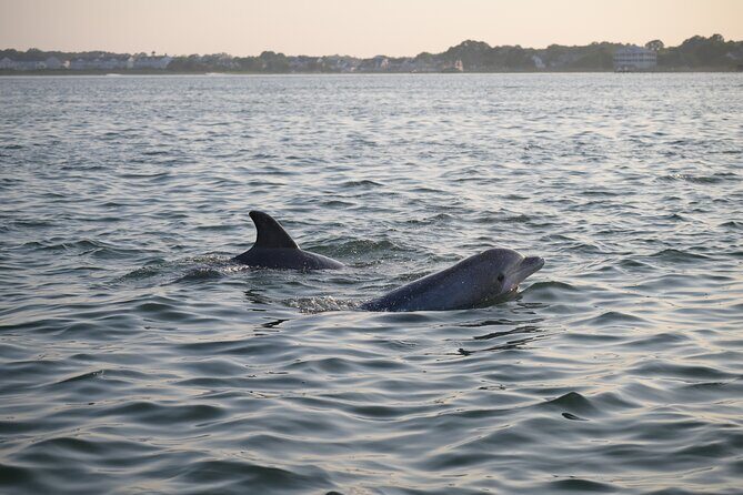 Assateague Island Private Cruise Tour - FAQs