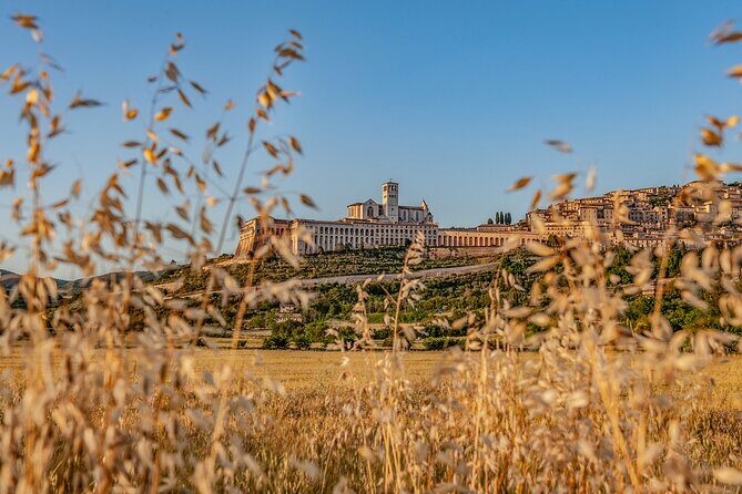 Assisi on the Footsteps of St. Francis and Carlo Acutis - Key Points
