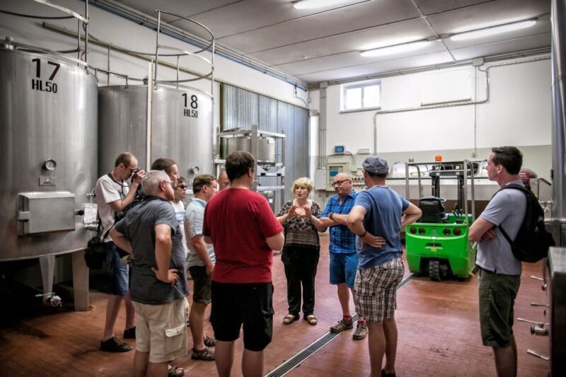 Assisi: Organic Winery Tour with Tastings & Typical Food - FAQ