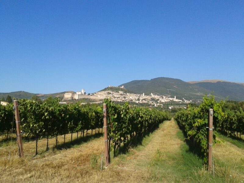 Assisi Rental Vespa '125cc - full day - Who Is This Tour Best For?