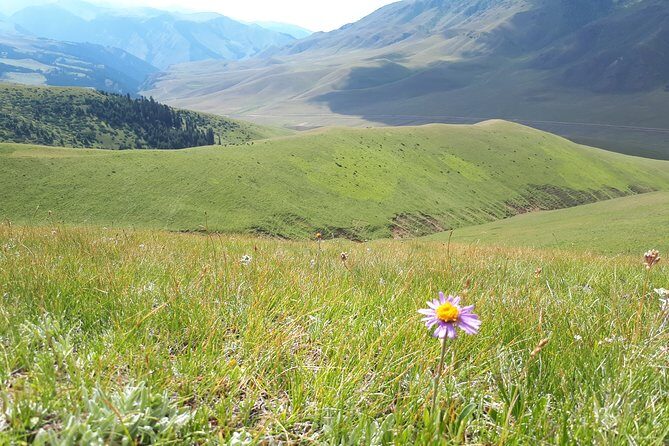 Assy Plateau - Activities and Experiences on the Plateau