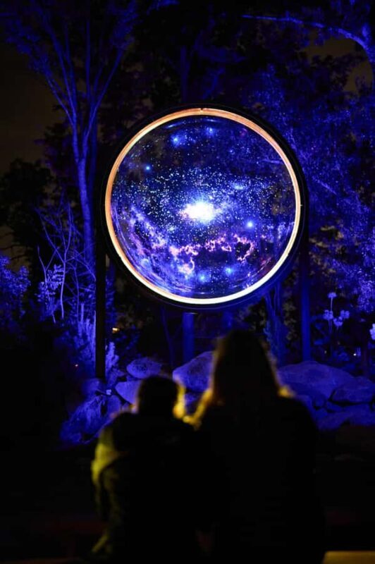 Astra Lumina Entry at Currumbin Wildlife Sanctuary - In The Sum Up: A Night to Remember