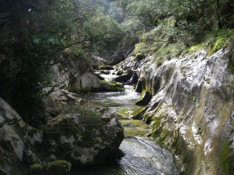 Asturias: Canyoning Adventure with 4 Levels to Choose From - Key Points