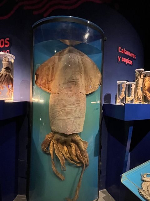 Asturias Occidental Coast Cudillero and Cathedrals Beach - Key Points