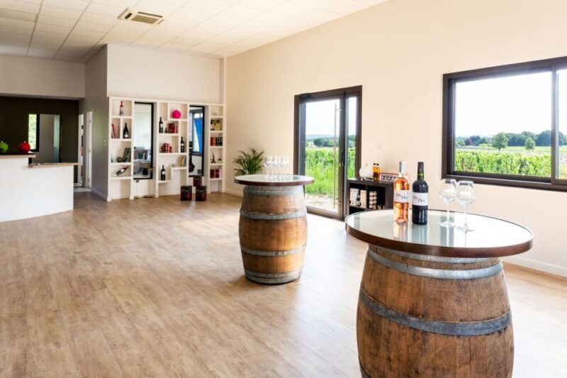 At the gates of Toulouse: from the vine to the cellar - Key Points