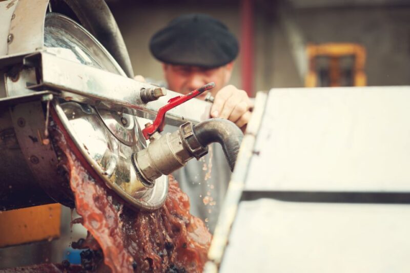 At the gates of Toulouse: from the vine to the cellar - A Closer Look at the Experience