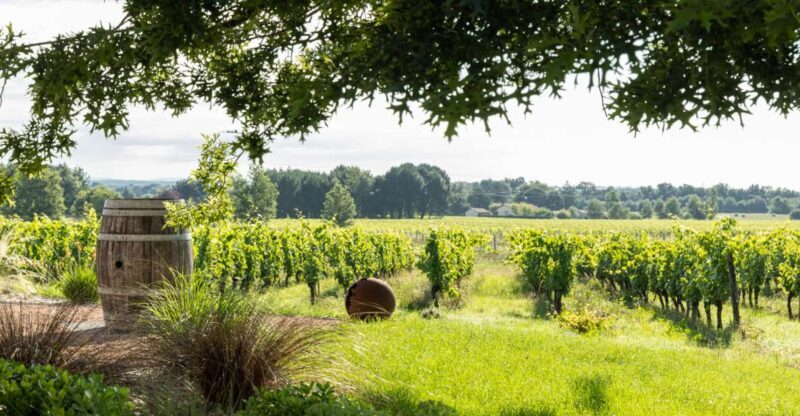 At the gates of Toulouse : Gourmet Tour - Walk and Tastings - Exploring the Experience: What You Can Expect