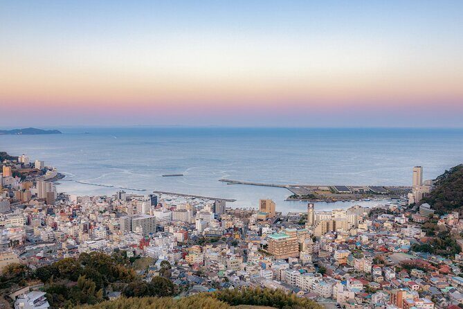 Atami Half-Day Private Tour with Government-Licensed Guide - Key Points