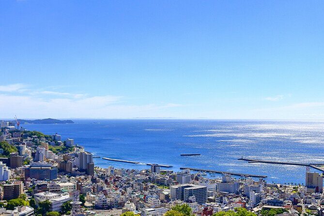 Atami Half-Day Private Tour with Government-Licensed Guide - How the Tour Works and What to Expect